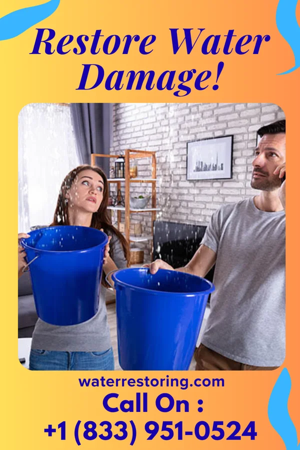 water restoration Hawk Property Restoration Experts Sibley