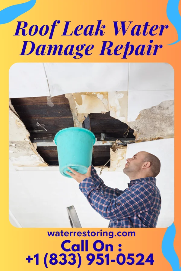 Roof Leak Water Damage Repair in Sibley, LA